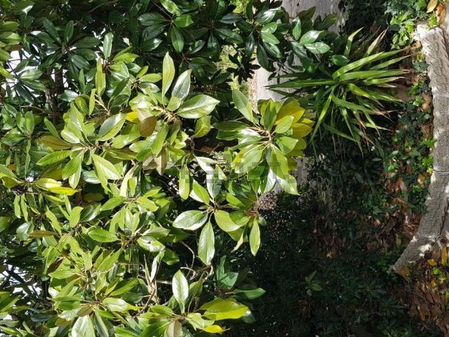 Appartamento in vendita di 128 m²