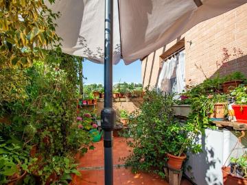 Costalpino, Siena Toscana, Toscana - Terrazzo