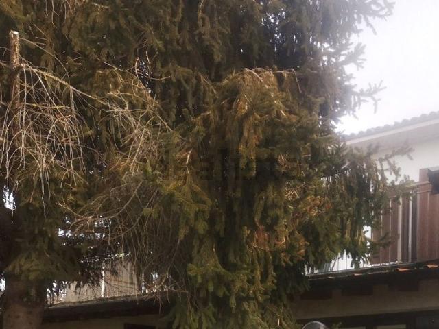 Appartamento in vendita di 130 m² in Località Coste Cornaggia, 153