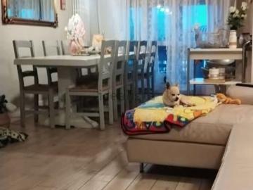 Appartamento in vendita di 140 m²
