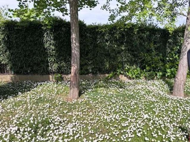 Appartamento in vendita di 140 m² in Via Antonio Grassi, 16