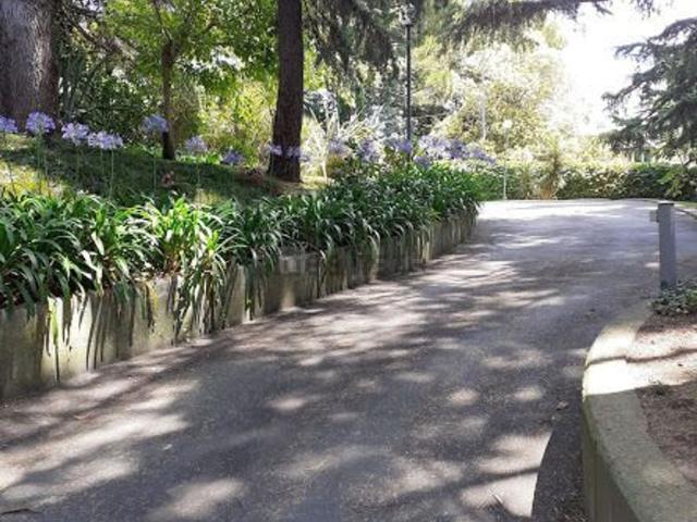 Appartamento in vendita di 143 m² in Via Domenico Viviani