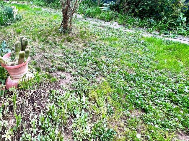 Appartamento in vendita di 150 m² in Via Viaccia