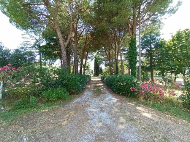 Appartamento in vendita di 157 m² in Via Trario, 690