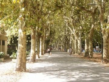 Appartamento in vendita di 158 m² in Via Pier Luigi da Palestrina