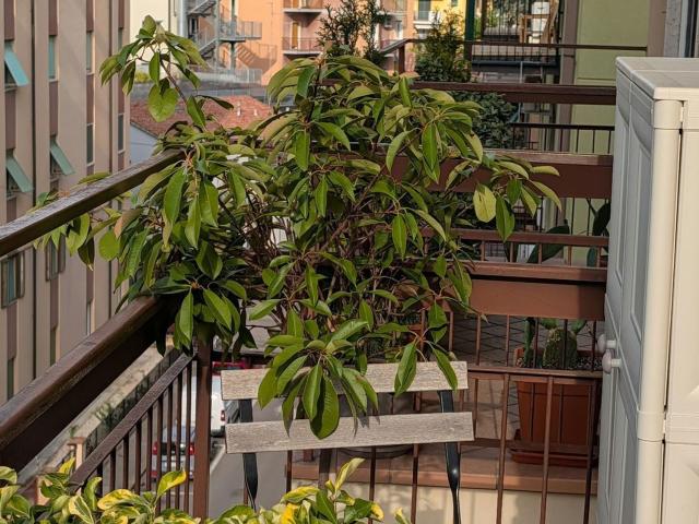 Appartamento in vendita di 180 m²
