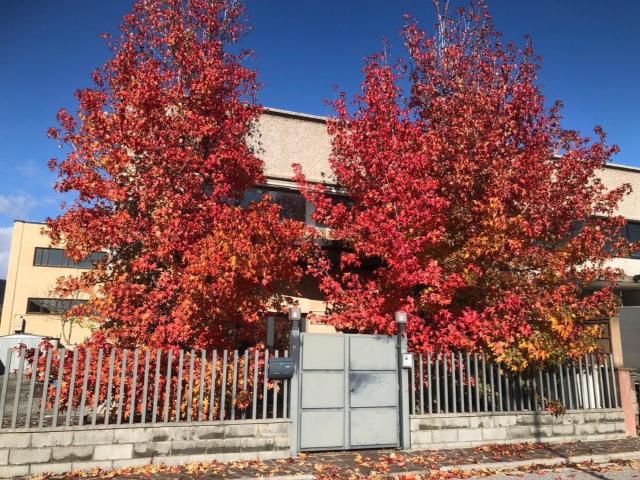 Appartamento in vendita di 200 m² in Viale Sardegna, 1