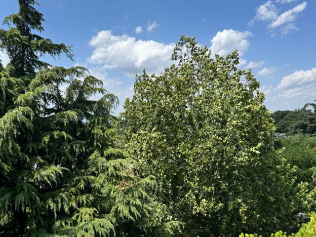 Appartamento in vendita di 225 m² in Via Ravenna