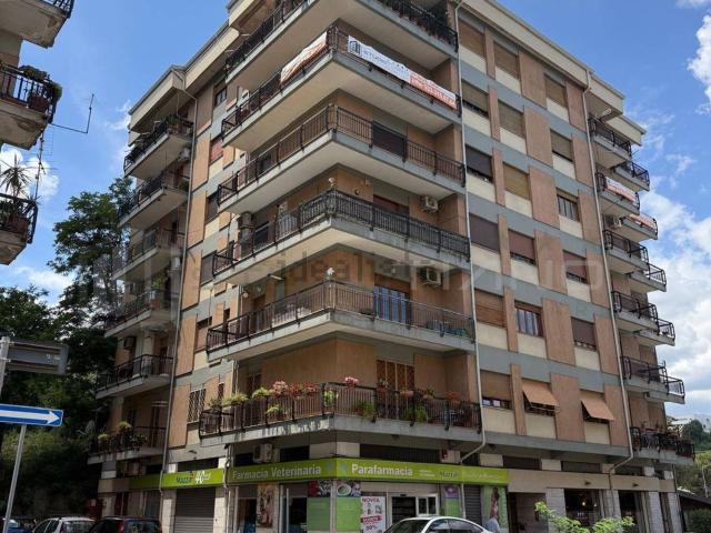 Appartamento in vendita di 253 m² in Via Pasquale Rossi, 73