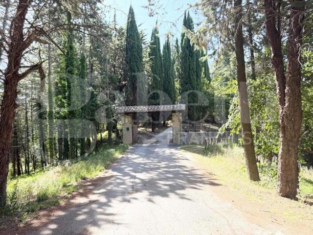 Appartamento in vendita di 33 m² in Località Paradiso, 40