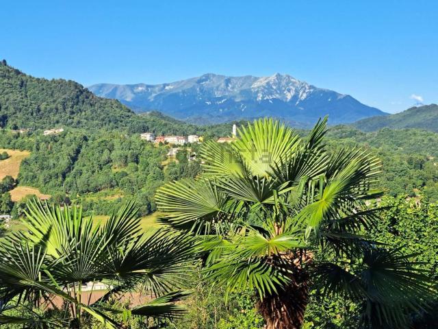 Appartamento in vendita di 30 m² in Via Bonelli