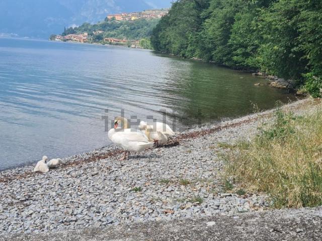 Appartamento in vendita di 30 m²