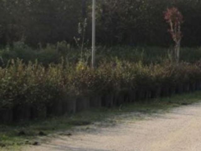 Appartamento in vendita di 336 m² in Via Paliaga