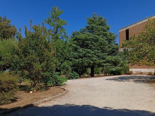 Appartamento in vendita di 350 m²