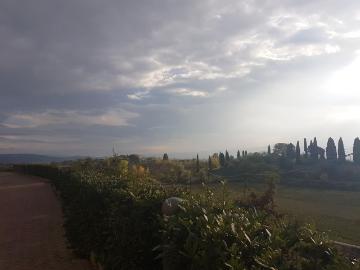 Appartamento in vendita, Sovicille san rocco a pilli