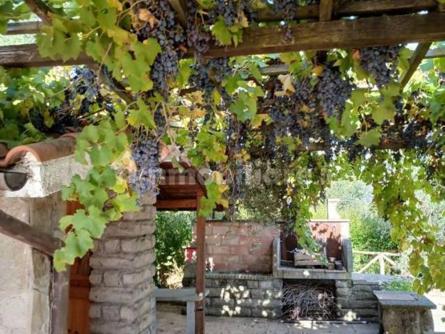 Appartamento in villa Contrada San Pietro 44/b, Soriano nel Cimino