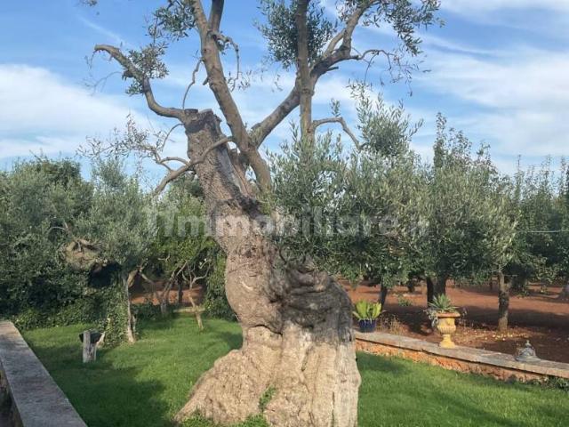 Appartamento in villa Strada Provinciale Ostuni Francavilla Fontana, Santa Caterina, Ramunno, Chianchizzo, Ostuni