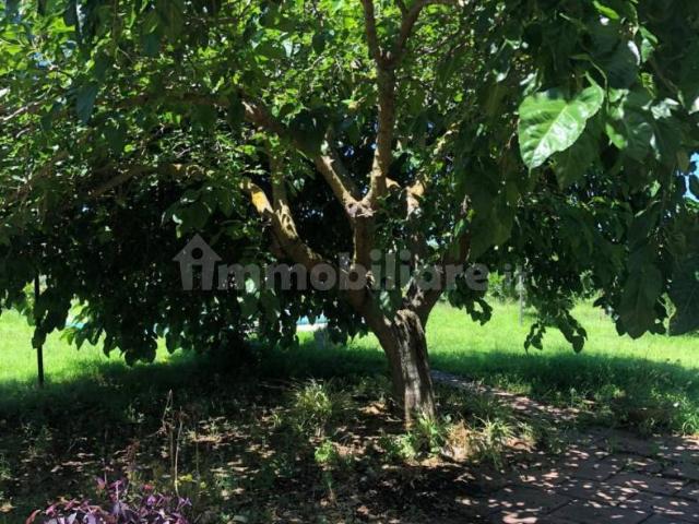 Appartamento in villa via Riviera Prangi 153, Centro, Pizzo