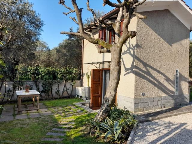 Appartamento Indipendente in Affitto a Pietrasanta