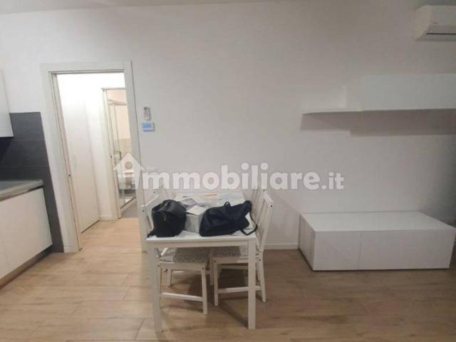 Appartamento ottimo stato, primo piano, Paltana Mandria, Padova