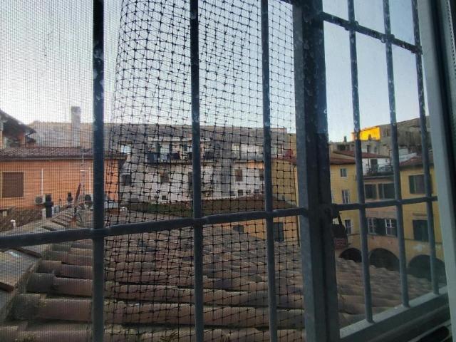 Appartamento Pisa Pisa 56126 DS105487123