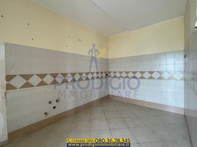 Appartamento primo piano con veranda in locazione a Ruvo