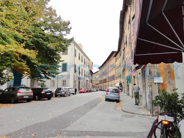Appartamento Quadrilocale in affitto a Pisa