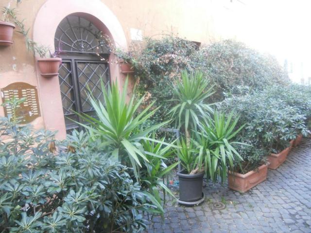 Appartamento Rome Rome 00153 DS105555290