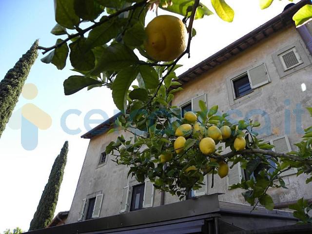 Appartamento Trilocale in ottime condizioni, in affitto in Piazza Immacolata 21, Cerveteri