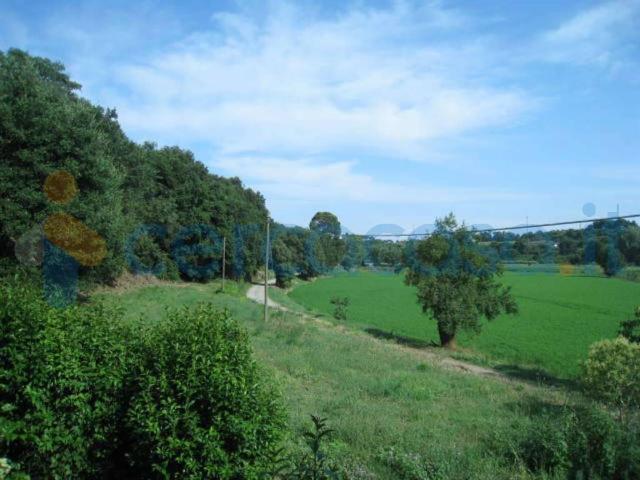 Appartamento Trilocale in affitto a Roma