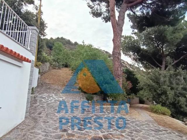Appartamento TRILOCALE in affitto a Seccheto Li