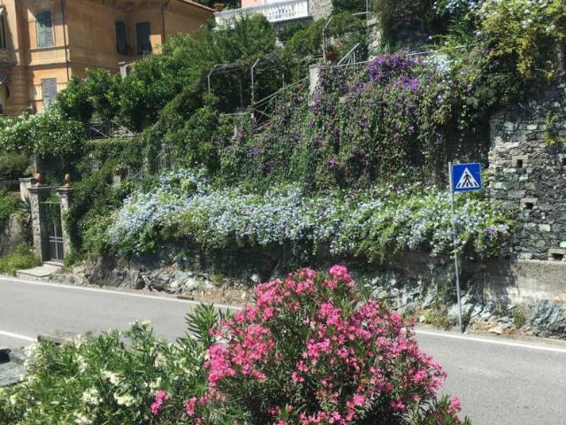 Appartamento via Parodi 4, Centro, Levanto