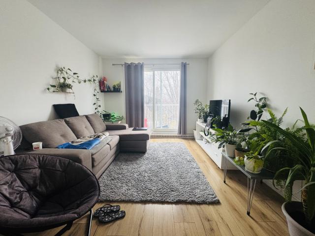 Appartement 4 ½ à louer Beauport septembre 2026