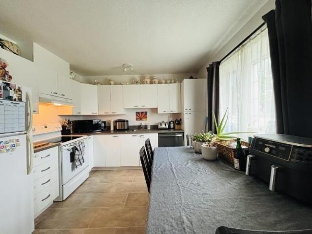 Appartement 4 ½ à louer Sainte Foy / Sillery décembre 2026