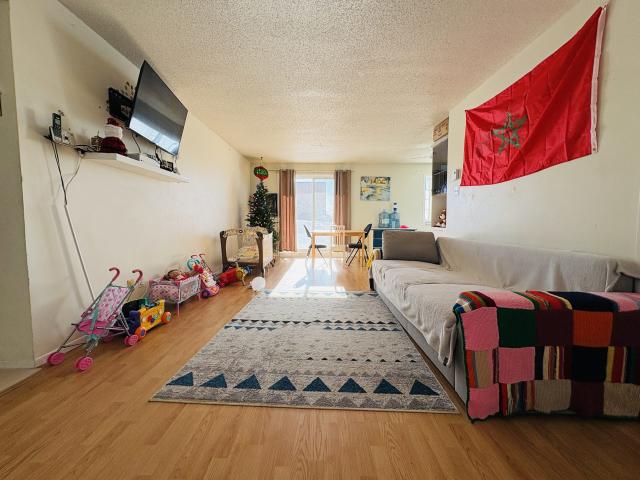 Appartement 4 ½ à louer Sainte Foy / Sillery juillet 2026
