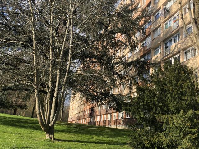 Appartement 4 pièces 64 m²