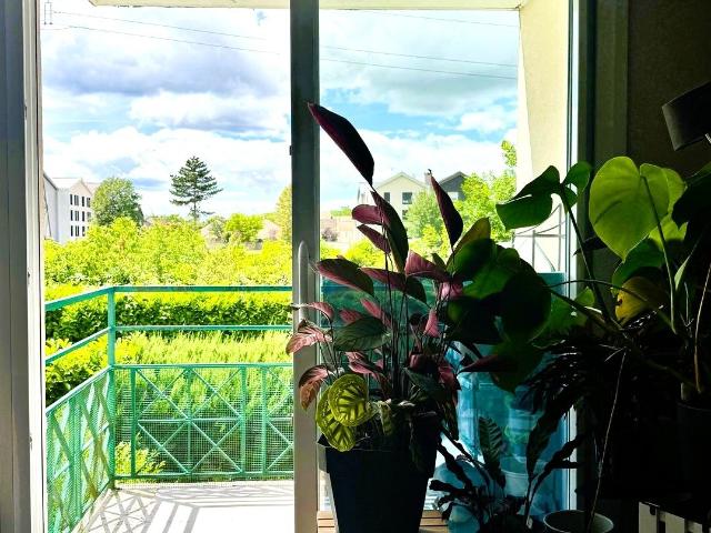 Appartement 4 pièces 75 m²