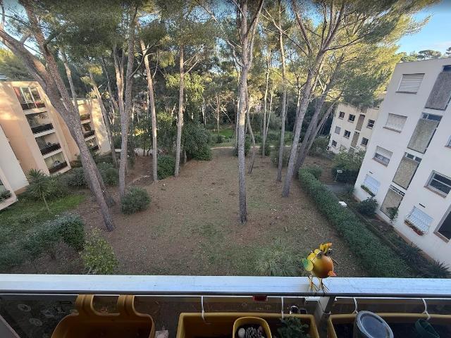 Appartement 4 pièces 79 m²