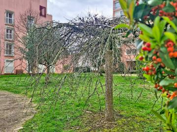 86000, Poitiers, Vienne Poitou-Charentes