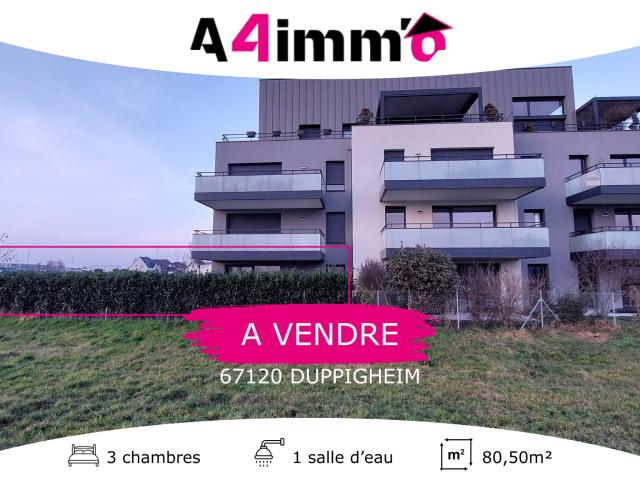 Appartement 4 pièces 81 m²