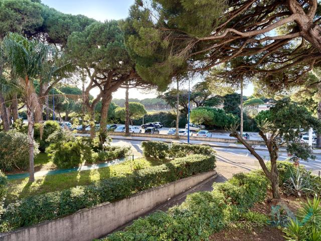 Appartement 4 pièces 81 m²