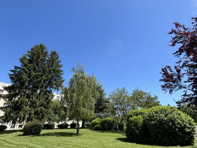 Appartement 4 pièces 81 m²