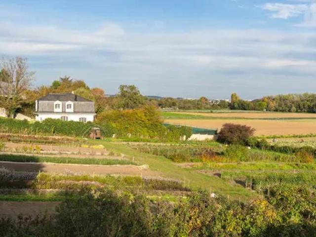 Appartement 4 pièces 87 m2