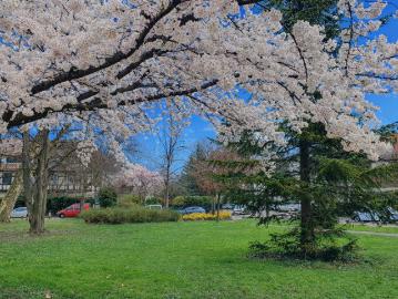 Rue Théophile Schuler, Gare Strasbourg, Strasbourg Bas-Rhin, Bas-Rhin