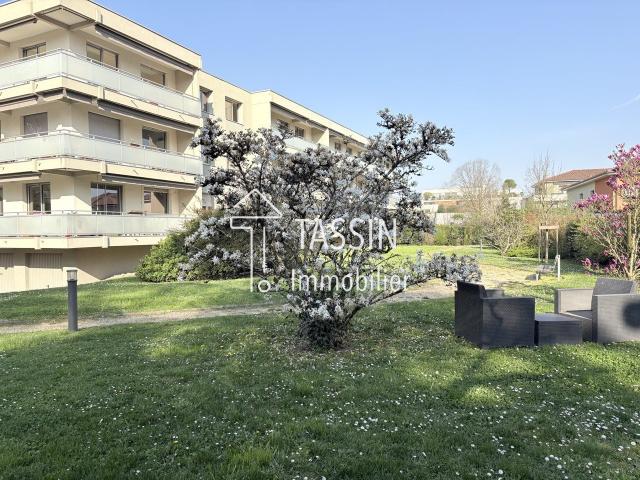 Appartement 4 pièces 100 m²