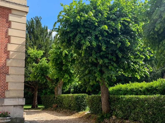 Appartement 4 pièces, 109 m² à louer à Fontainebleau 77300