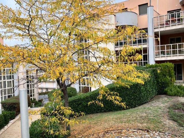 Appartement 4 pièces 125 m²