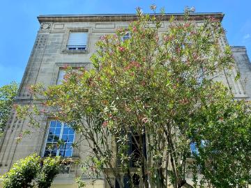 Appartement 4 pièces 126 m²