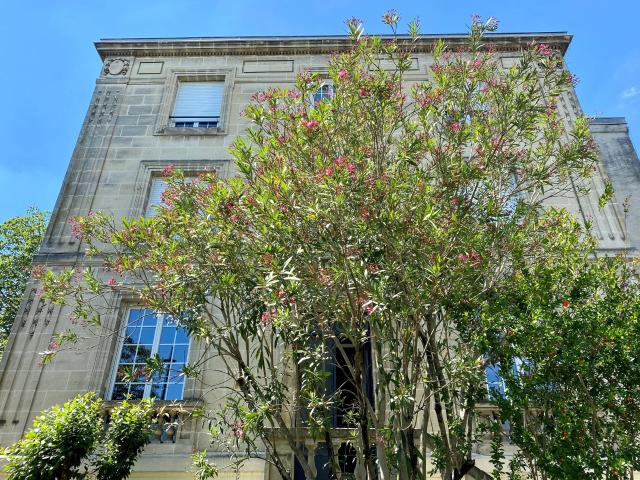 Appartement 4 pièces 126 m²