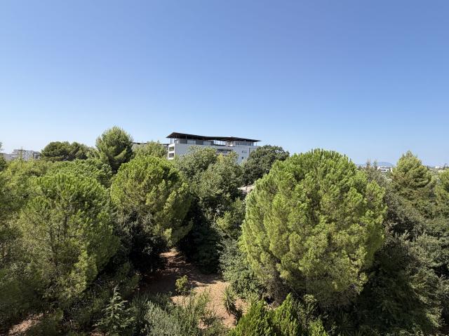 Appartement 4 pièces, 135 m² à louer à Montpellier 34000